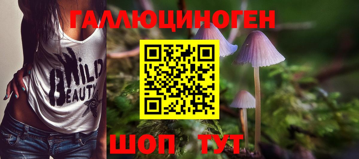 Галлюциногенные грибы Psilocybe Семилуки